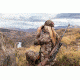 Vanguard Endeavor RS 4-12x40 mm Rifle Scope with Duplex Reticle, Black Endeavor RS 41240D