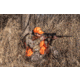 Vortex Triumph HD 3-9x40mm 1 inch Tube Rifle Scope, Second Focal Plane, Dead-Hold BDC MOA Reticle, Black, TRI-3901