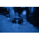 Vortex Veil 400 2.3x25mm Thermal Monocular, 400x300 pixels, 50Hz, Black/Grey, TML-VEIL425