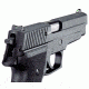 XS Sight Systems DXT Big Dot for Sig P225, P226, P228, P229, P320, Springfield XD, XDm &amp; XDs SI-0002S-5