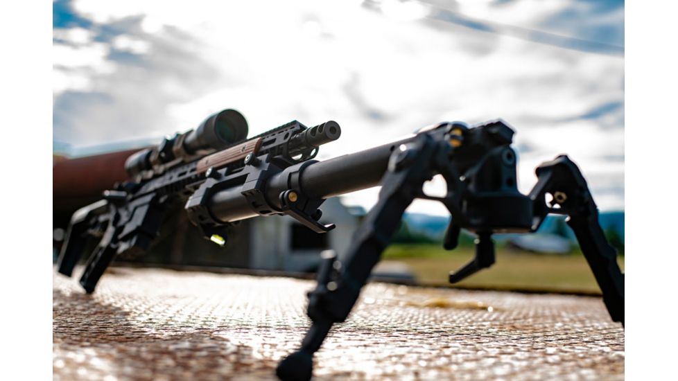 Accuracy Solutions BipodeXt ARC II ARCA Rail Dual Mount, Black, BipodeXt ARC II ARCA Rail DM