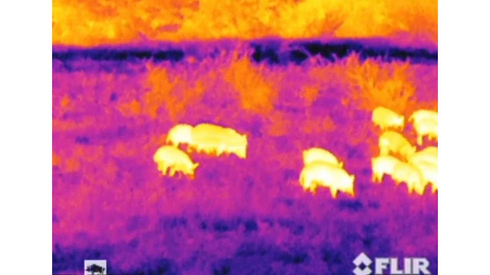 Armasight Prometheus 336 2-8x25, 9 Hz, Thermal Imaging Monocular, FLIR Tau 2 - 336x256, 17m, 9Hz Core, 25mm Lens TAT179MN2PROM21