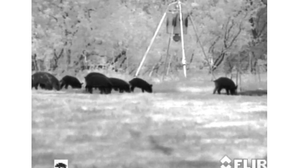 Armasight Prometheus 336 2-8x25, 9 Hz, Thermal Imaging Monocular, FLIR Tau 2 - 336x256, 17m, 9Hz Core, 25mm Lens TAT179MN2PROM21