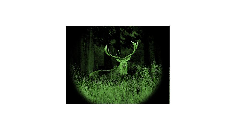 ATN Night Raven 2 Night Vision Binoculars