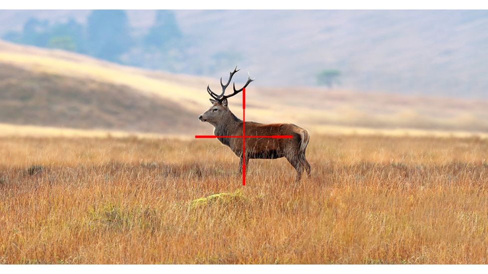 ATN X-Sight-4k, 3-14x, Pro edition Smart Day/Night Hunting Rifle Scope with Full HD Video rec, WiFi, GPS, Smooth zoom and Smartphone controlling thru iOS or Android Apps, Black, DGWSXS3144KP