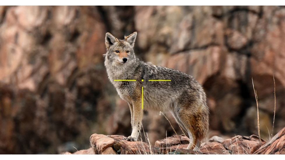 ATN X-Sight-4k, 5-20x Pro edition Smart Day/Night Hunting Rifle Scope with Full HD Video rec, WiFi, GPS, Smooth zoom and Smartphone controlling thru iOS or Android Apps, Black, DGWSXS5204KP