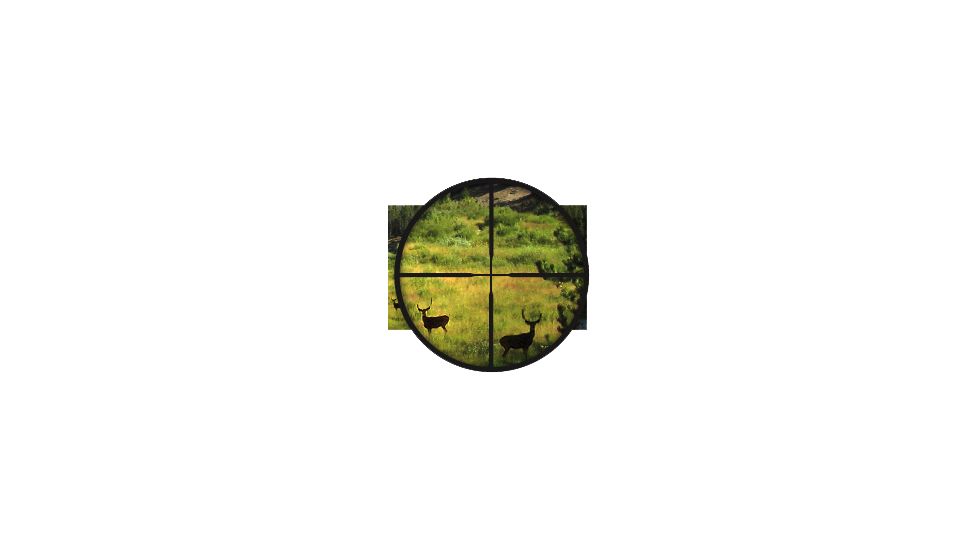 BSA Optics - 30/30 Reticle