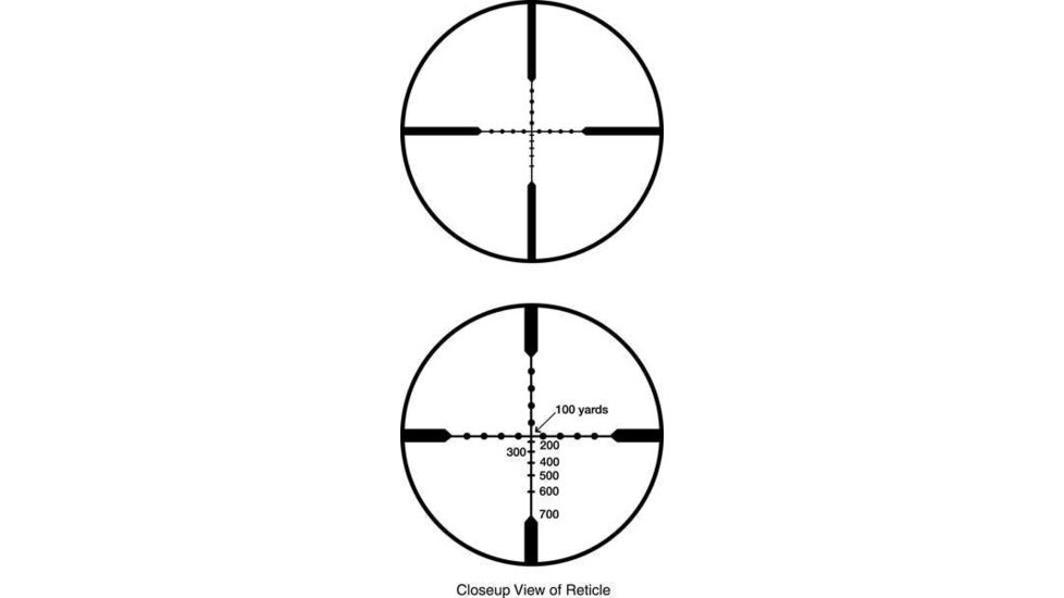 Close-Up View of Burris Reticle