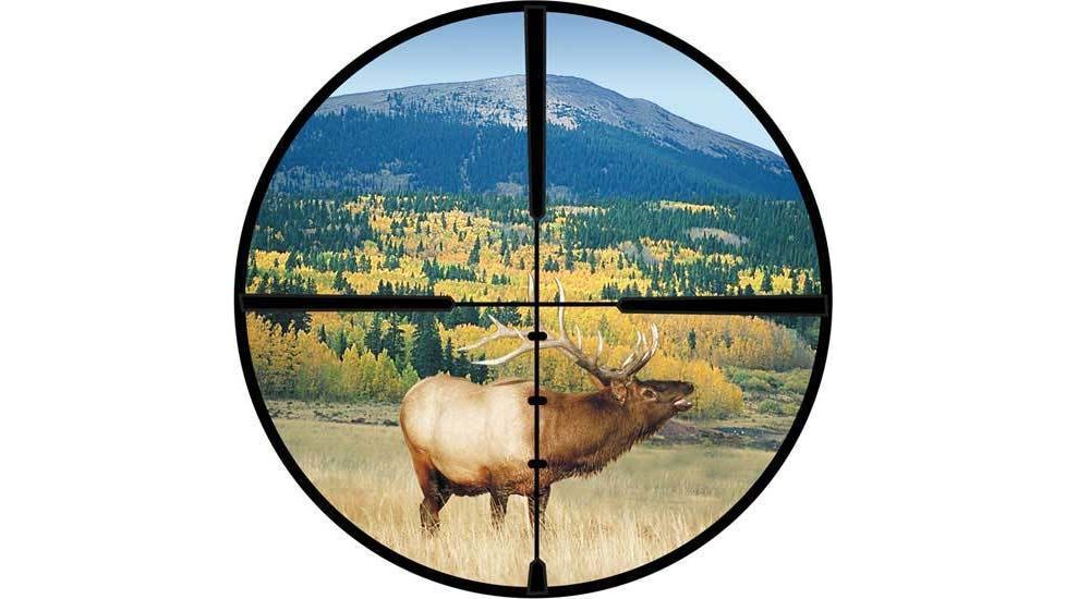 Burris Ballistic Plex Reticle