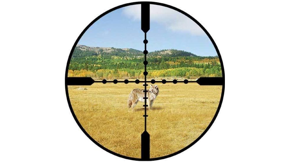 Burris Ballistic Mil Dot Reticle