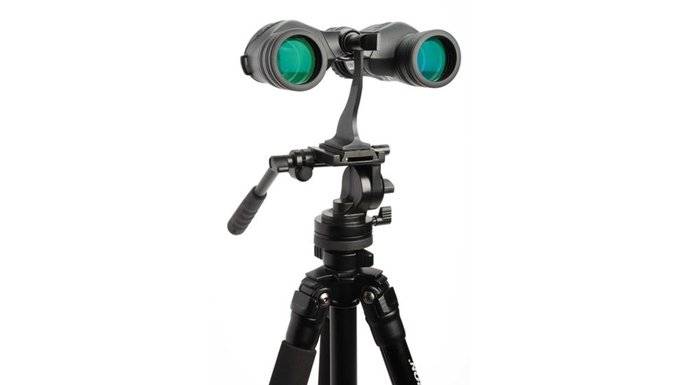 Celestron LandScout 8x40 Binocular, Black 71361