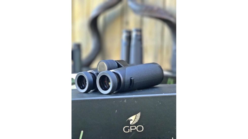 German Precision Optics GPO PASSION HD 10x42HD Binocular, Charcoal Black, 10x42HD, B620