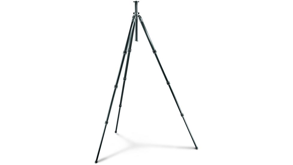 Gitzo Series 2 Basalt Long Tripod - 4 Section G-lock GT2941L