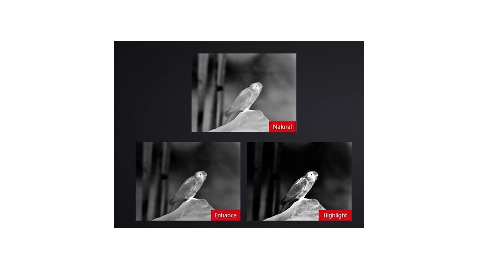 Guide USA TA Gen2 Series TA421 1-4x25mm Clip-On Thermal Imaging, 384x288, Black, TA421