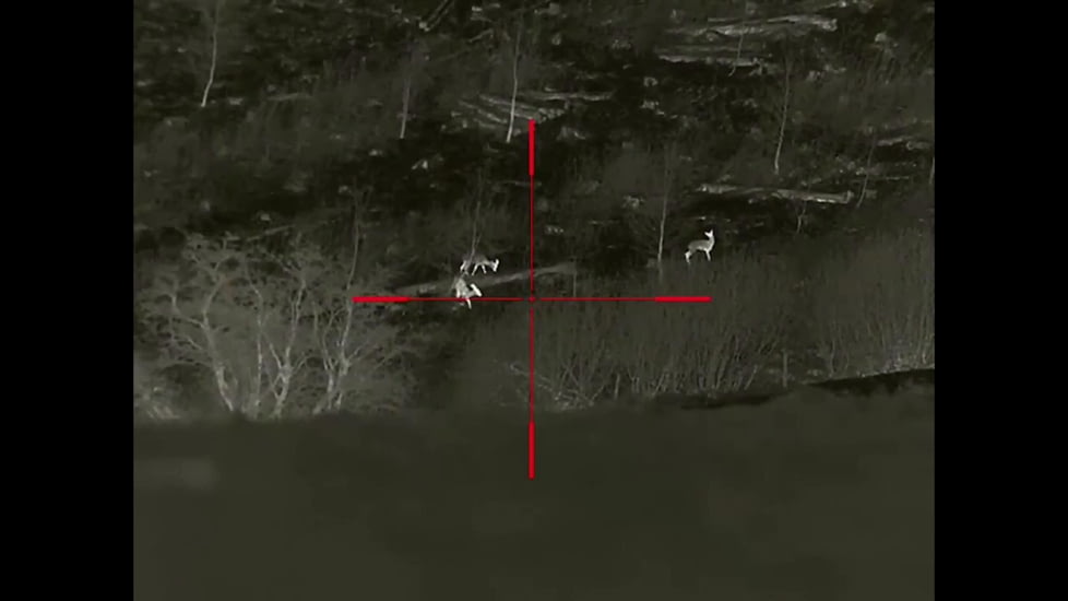 InfiRay Outdoor Rico G-LRF 384 3x35mm Laser Rangefinding Thermal Weapon Sight, Black, IRAY-GL35R