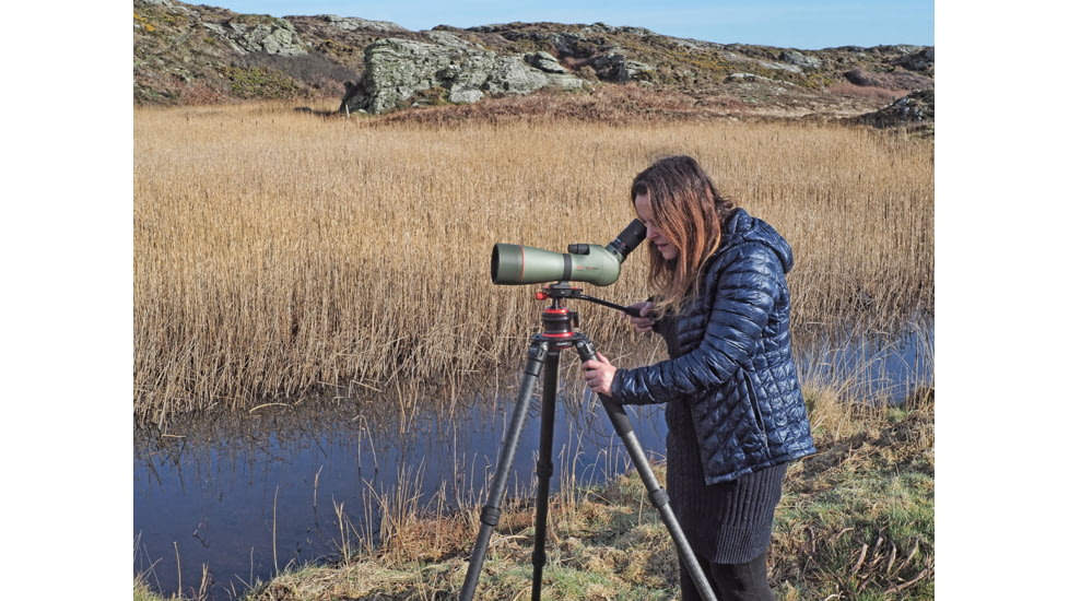 EDEMO Kowa TSN-773 Spotting Scope - Offset 45 degree BODY ONLY w/ PROMINAR XD Lens, EDEMO1