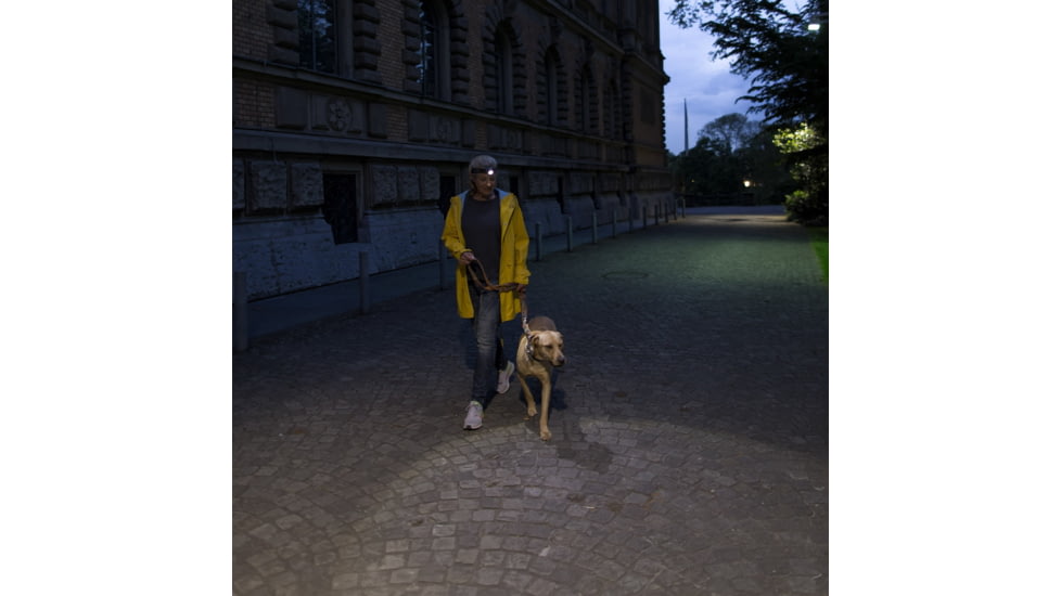 LED Lenser H7.2 4x AAA LED Headlamp, 250 Lumens, Clamshell, Black, 880001