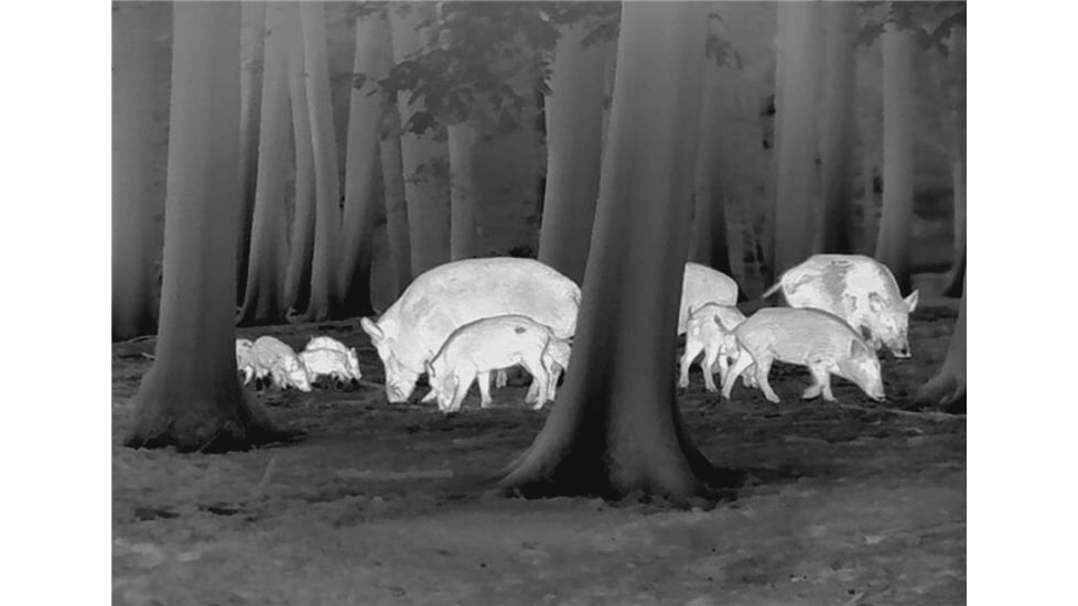 Leica Calonox Trinity Set w/3-18x44 AmPlus 6 Rifle Scope, Black, 50505