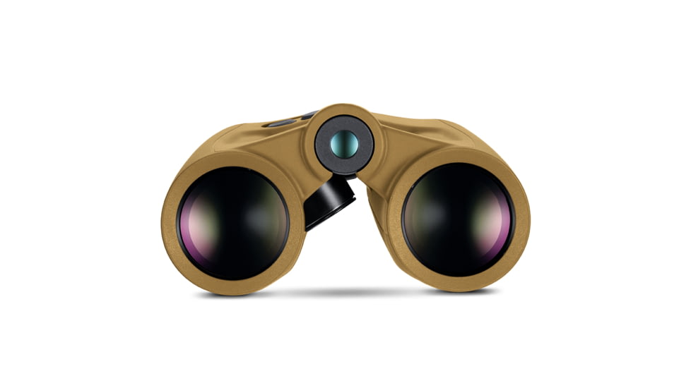 Leica Geovid Pro AB+ 10x42 Rangefinders, Flat Dark Earth, 40818