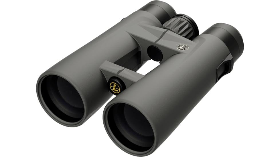 Leupold Gen 2 BX-4 Pro Guide HD 10x50mm Binocular, Grey/Black, Small, 184762