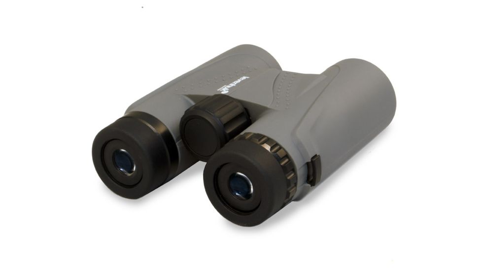 Levenhuk Karma PLUS 10x32mm Roof Prism Binocular, Gray, 5.3 x 5 x 1.9, NSN N, 67709