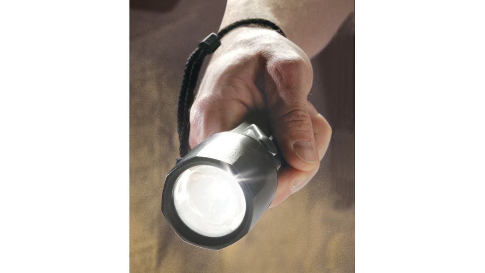 Pelican 2460C, Stlth-Led, 110v, Black, 2460-016-110