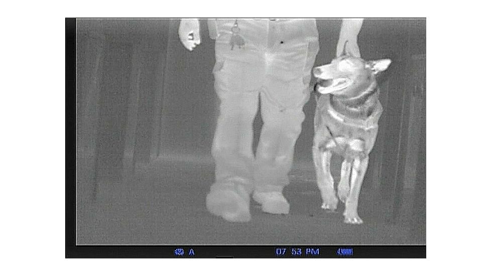 Pulsar Quantum HD19A 1-2x Thermal Imaging Monocular,640x480 Display Resolution,30hz Refresh Rate PL77325