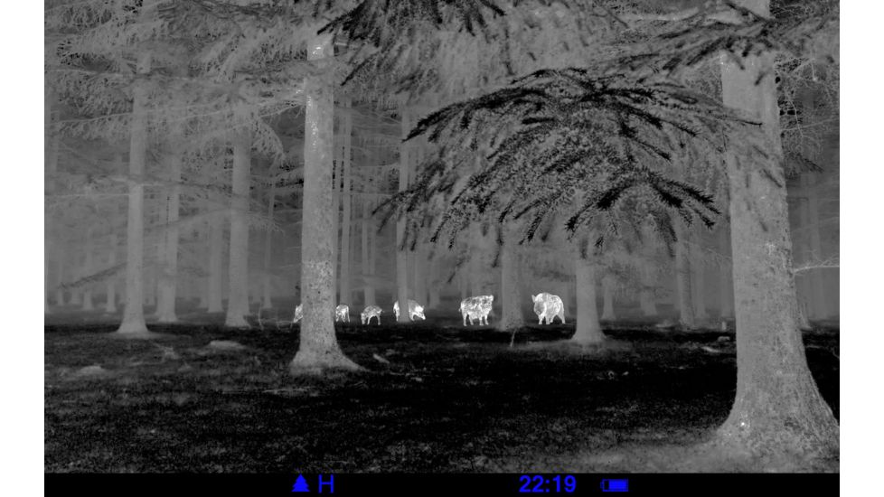 Demo,Pulsar Quantum HD38A 2.8-5.6x Thermal Imaging Monocular,640x480 Display Resolution,30hz Refresh Rate PL77323