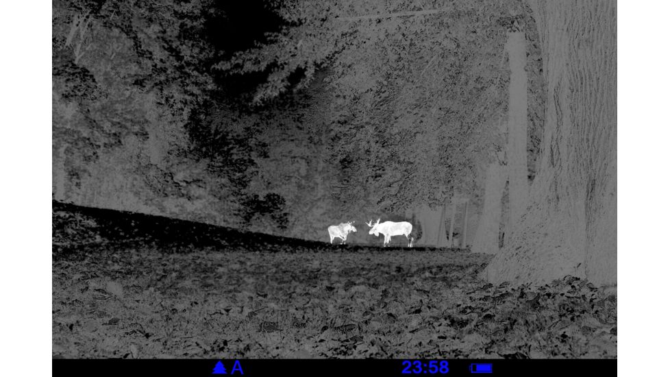 Pulsar Quantum XD38A 2-8x32 Thermal Imaging Monocular, Black, PL77319