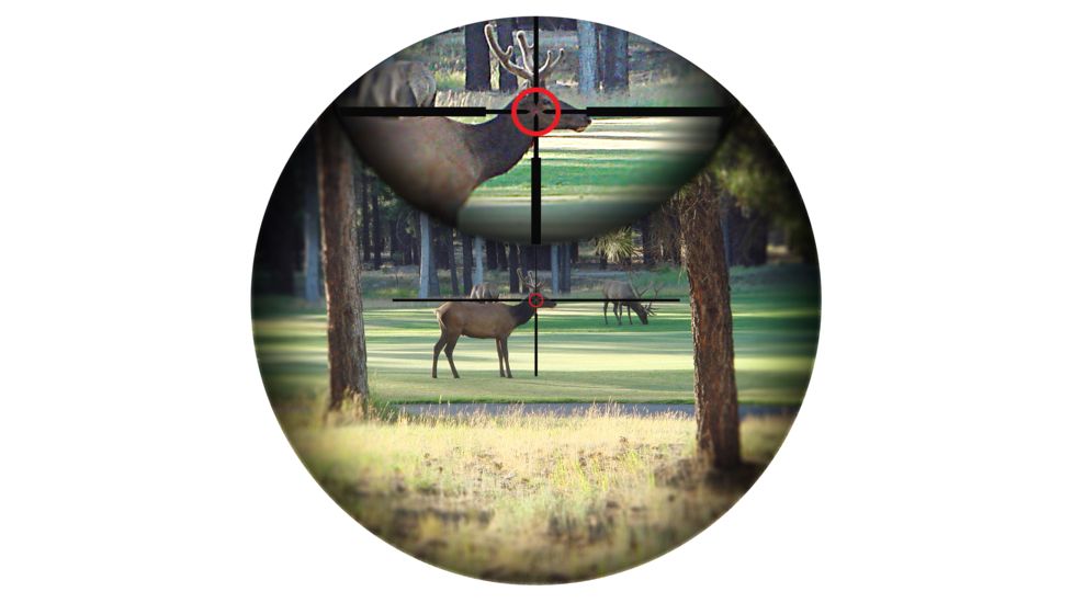 ROS Optics Eagle Eye Illuminated Reticle