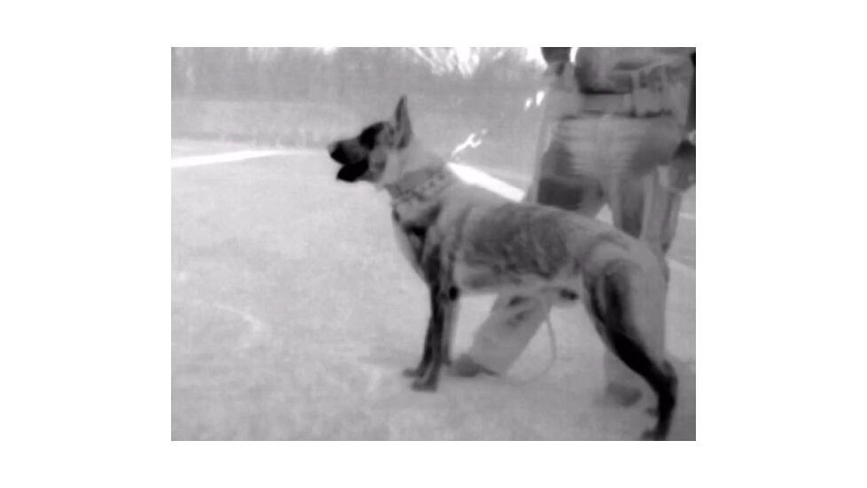 Seek Thermal Reveal Shield Pro Thermal Image Camera RQ-LAHX, Black, 1.3H x 2.4W x 4.8H, RQ-LAHX