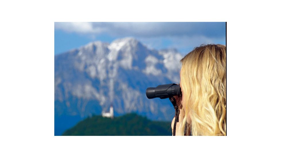 Steiner 12 x 30 Wildlife Pro Binoculars