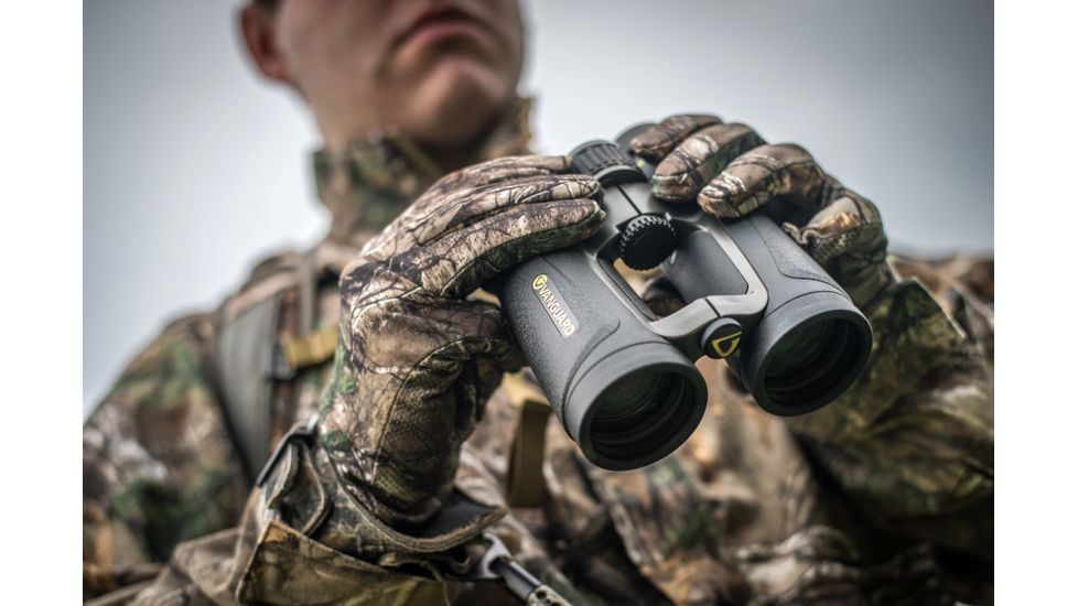 Vanguard Endeavor ED IV 8x42 mm Binocular, Black, Endeavor ED IV 8420