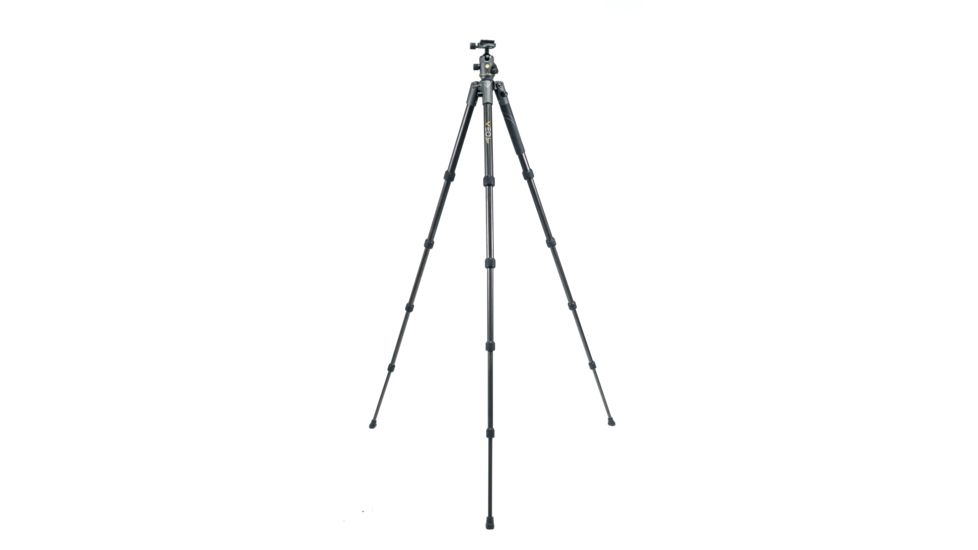 Vanguard VEO 2 235CB Carbon Fiber Tripod with Ball Head, Gray, VEO 2 235CB