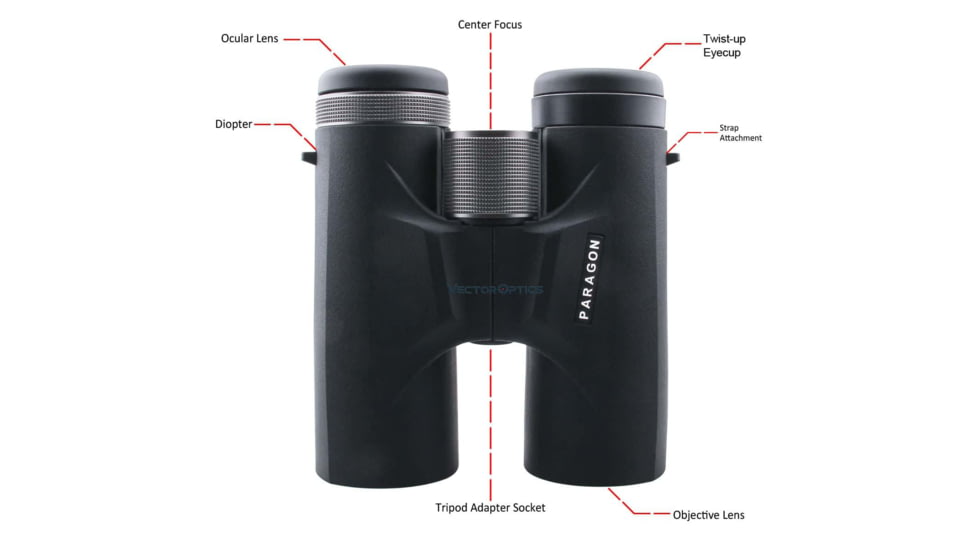 Vector Optics Paragon 8x42 mm Binocular, BAK4, 5.1 mm, Multicoated, Black, SCBO-03