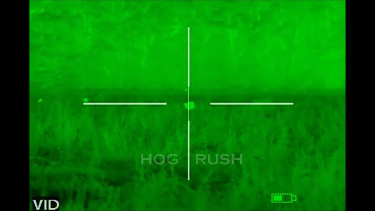 opplanet atn hog rush 3 boar kills video