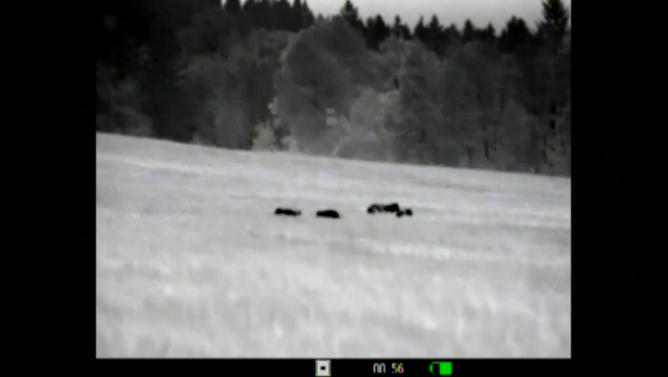 opplanet pulsar quantum thermal imaging monocular hog flv